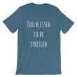 Load image into Gallery viewer, TOO BLESSED TO BE STRESSED Cotton Tee (7 colors) - The Sweetest Tee