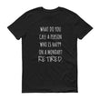 Load image into Gallery viewer, WHAT DO YOU CALL A PERSON... Jersey Tee (6 colors) - The Sweetest Tee