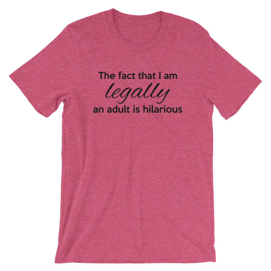 THE FACT THAT I AM... Unisex Tee (6 colors) - The Sweetest Tee